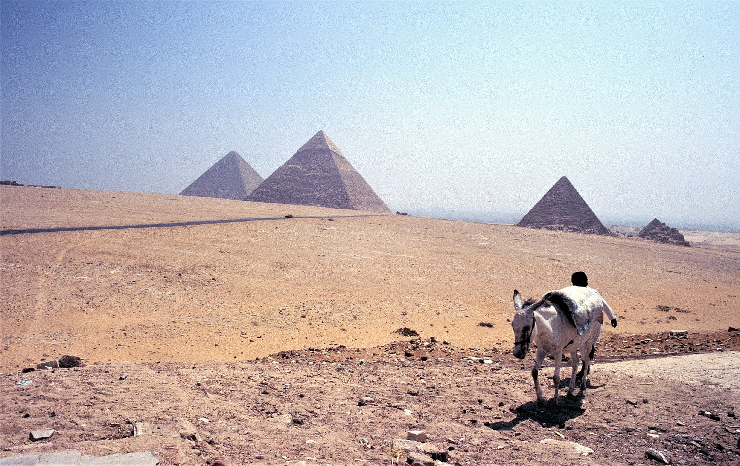 Les pyramides de Gizeh, aussi appelées complexe pyramidal de Gizeh, sont l'ensemble des pyramides égyptiennes situées dans la nécropole de Gizeh sur le plateau de Gizeh. Ce complexe pyramidal égyptien est classé au patrimoine mondial de l'humanité depuis 1979. Les trois plus grandes et plus célèbres des pyramides d'Égypte, celles de Khéops, Khéphren et Mykérinos, se trouvent sur la nécropole de Gizeh.