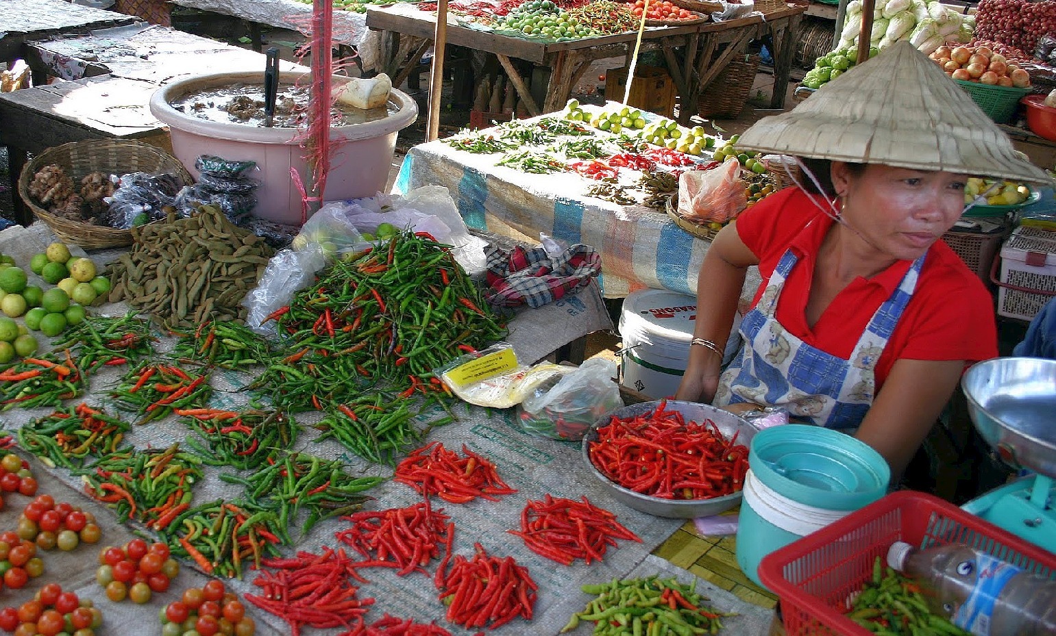 Piments au marché de Pakse (Laos)
