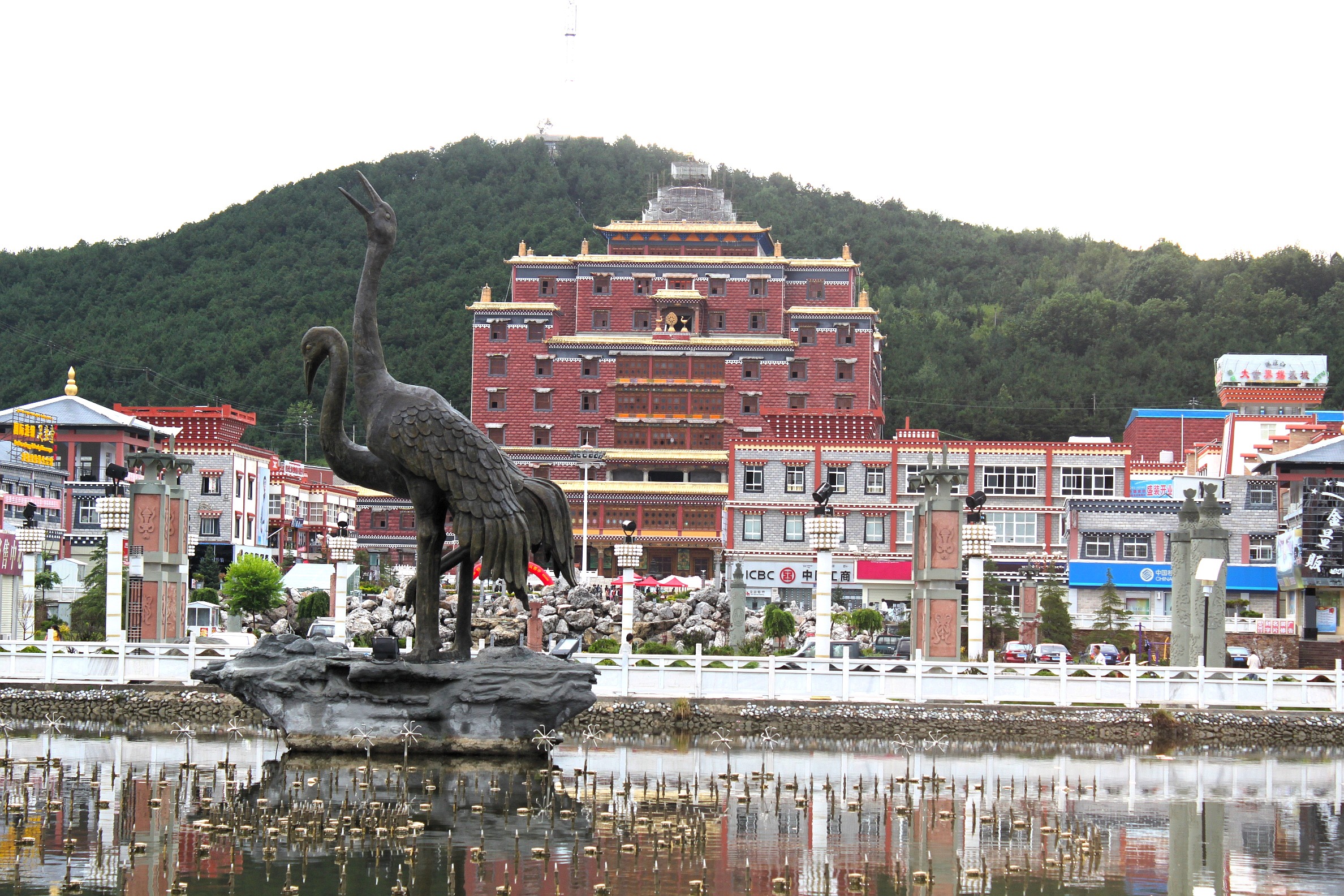 Grues sur lac de Xian de Shangri-La  - Chine
