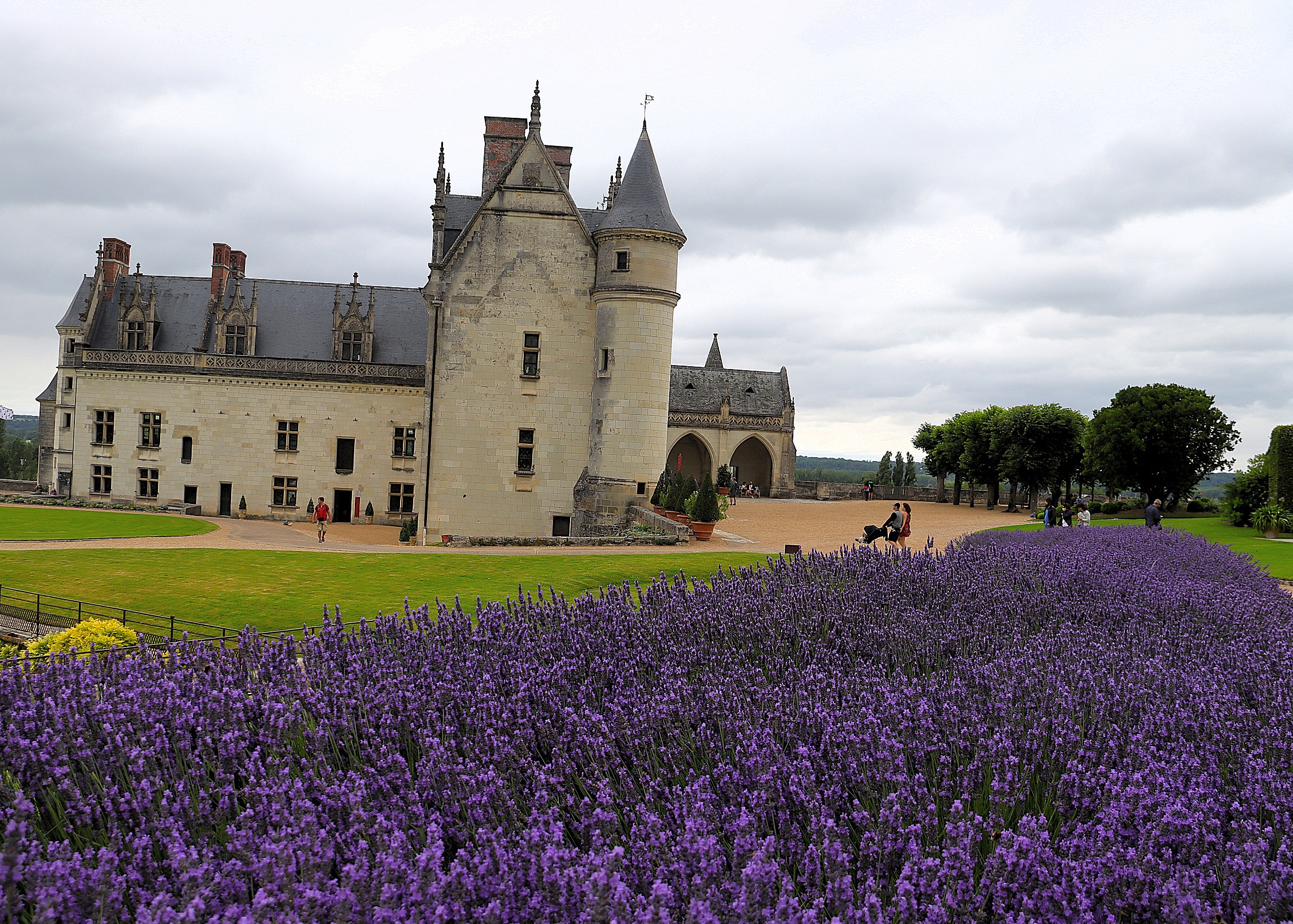 Château royal d’Amboise (XV -XVIe) – France