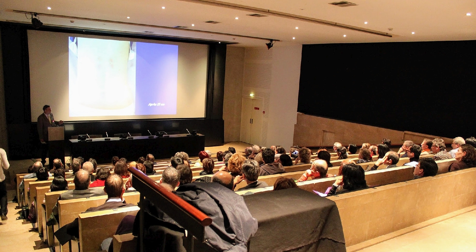Amphithéâtre Austerlitz – Hôtel des Invalides -Paris – France.