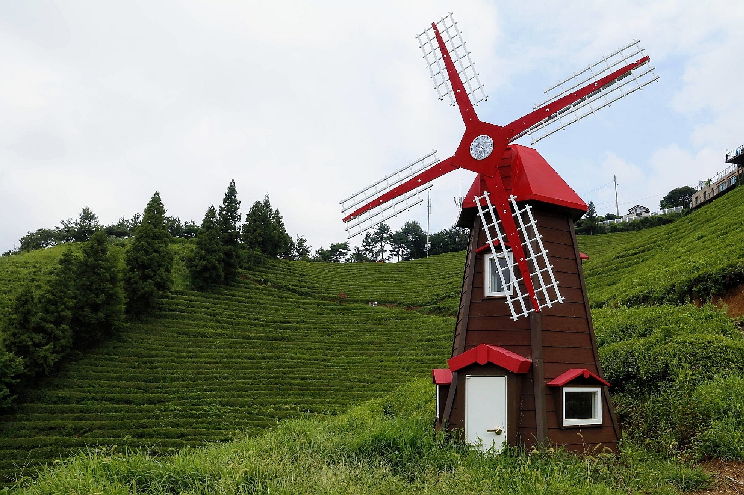 Moulin à vent – Plantations de thé – District de Boseong – Jeollanam-do – Corée du Sud