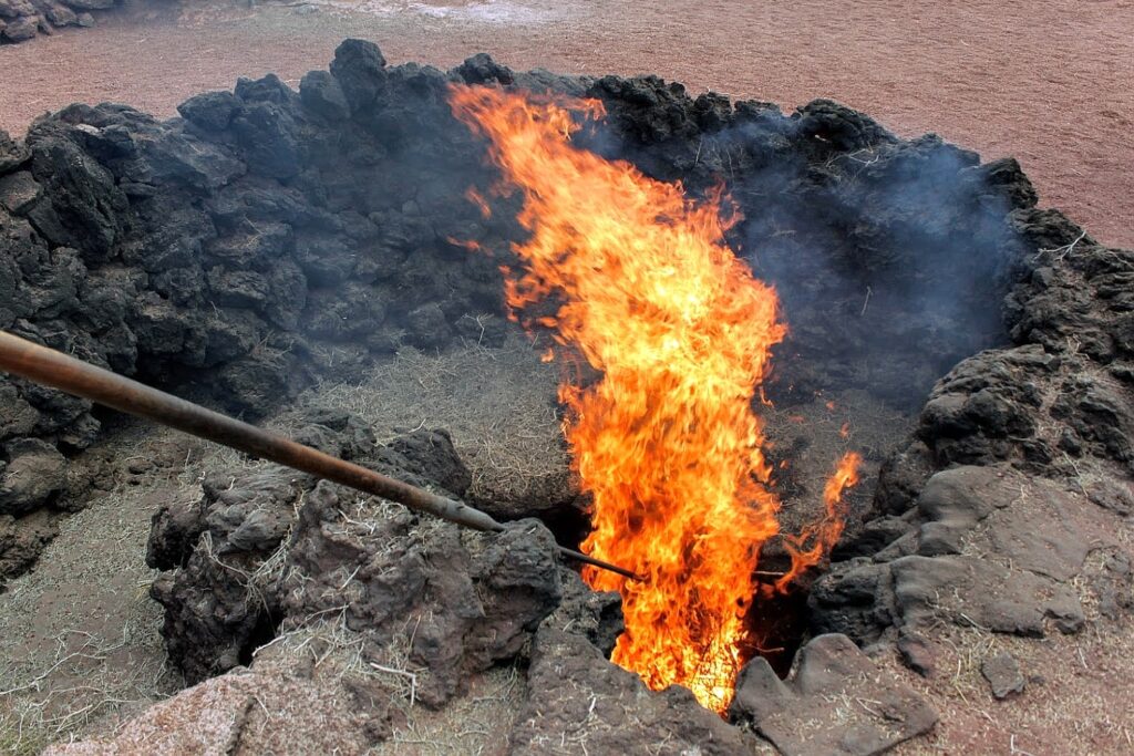 Parc national de Timanfaya -Parque Natural de los Volcanes – Lanzarotte – Canarie – Espagne
