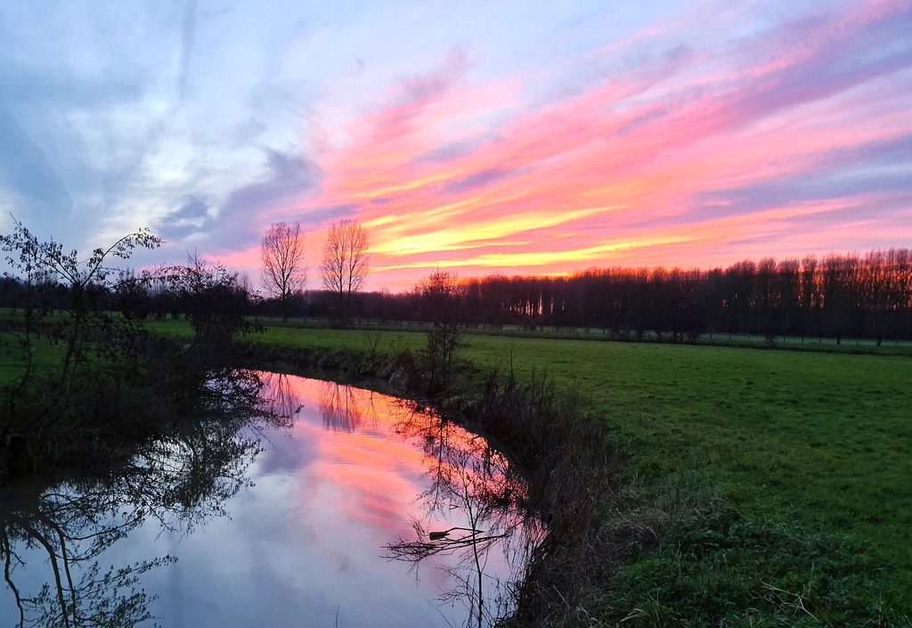 Canal du Décours – Parc naturel régional Scarpe-Escaut – Saint-Amand-Les-Eaux – Nord – Hauts-de-France – France